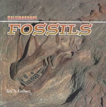 Library Binding Fossils Book