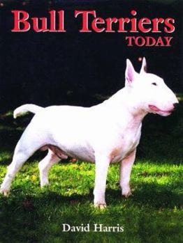 Hardcover Bull Terriers Today Book