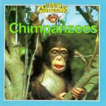 Paperback Chimpanzees Book