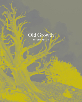 Hardcover Mitch Epstein: Old Growth Book