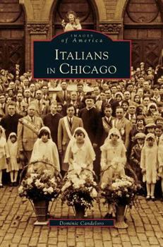Hardcover Italians in Chicago Book