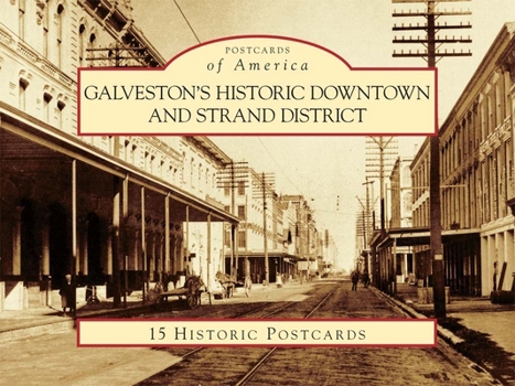 Loose Leaf Galveston's Historic Downtown and Strand District Book