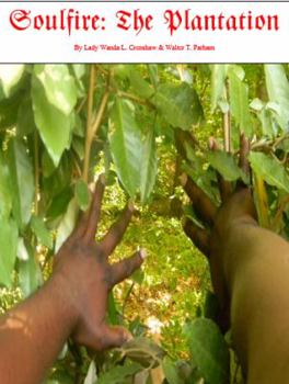 Paperback Soulfire: The Plantation Book