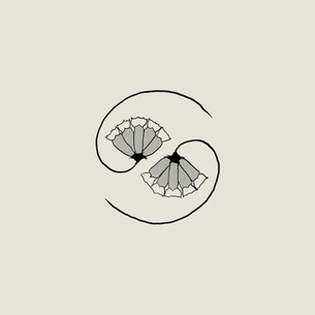 Vinyl G D's Pee At State's End! (Incl. 10 ) Book