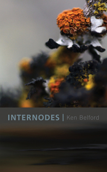 Paperback Internodes Book