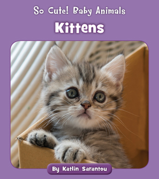 Paperback Kittens Book