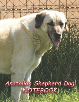 Anatolian Shepherd Dog NOTEBOOK: notebooks and journals 110 pages (8.5"x11")