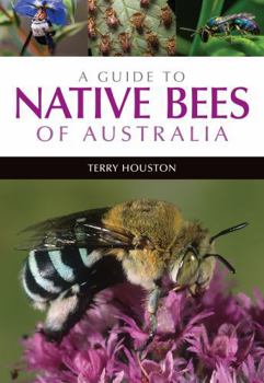 Paperback A Guide to Native Bees of Australia Book