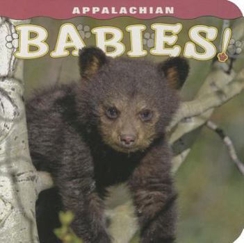 Board book Appalachian Babies! Book