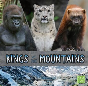 Hardcover Kings of the Mountains Book