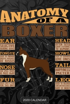 Paperback Anatomy Of A Boxer: Boxer 2020 Calendar - Customized Gift For Boxer Dog Owner Book