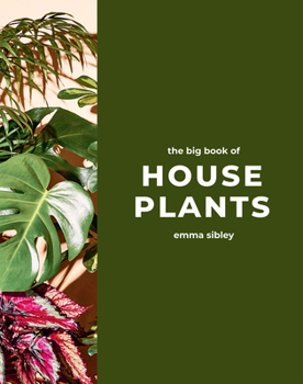 Hardcover The Big Book of House Plants Book