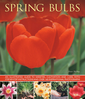 Paperback Spring Bulbs Book