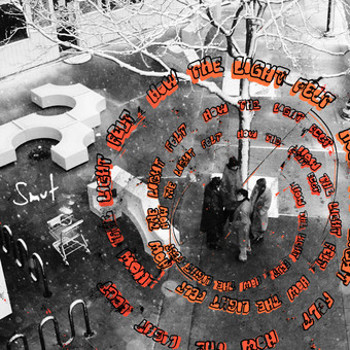 Vinyl How The Light Felt   Orange Book