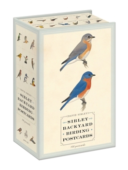 Cards Sibley Backyard Birding Postcards: 100 Postcards Book