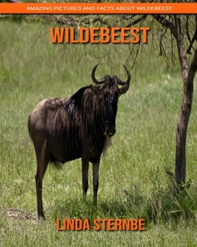 Paperback Wildebeest: Amazing Pictures and Facts About Wildebeest Book