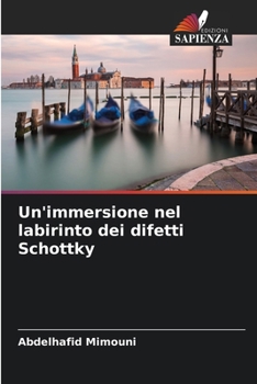 Paperback Un'immersione nel labirinto dei difetti Schottky [Italian] Book