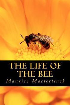 Paperback The Life of the Bee Book