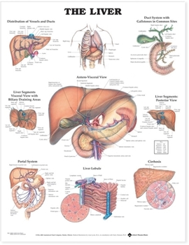 Hardcover The Liver Anatomical Chart Book