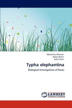 Paperback Typha elephantina Book