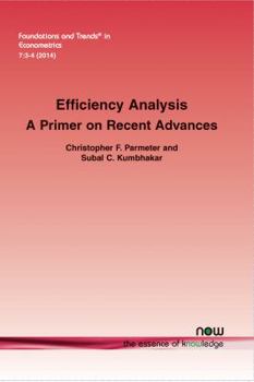 Paperback Efficiency Analysis: A Primer on Recent Advances Book