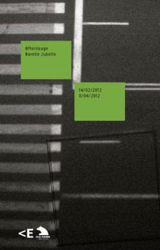 Hardcover Afterimage: Narelle Jubelin 14:02:12 / 08:04:12 Book