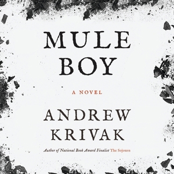 Mule Boy