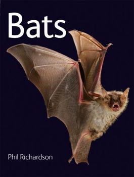 Paperback Bats Book