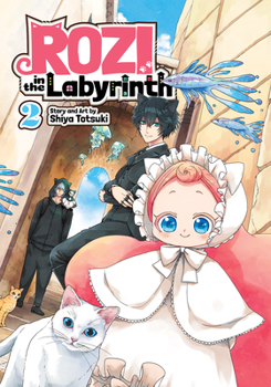 Rozi in the Labyrinth Vol. 2 - Book #2 of the Rozi in the Labyrinth