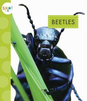 Beetles - Book  of the Spot Creepy Crawlies