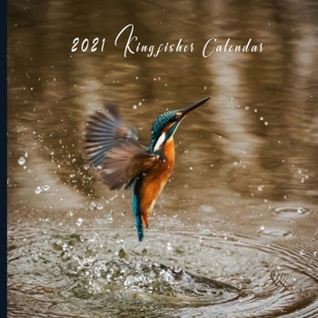 2021 Kingfisher Calendar: Monthly Photo Calendar | January 2021 - December 2021 | Monthly Calendar with U.S./UK/ Canadian/Christian/Jewish/Muslim Holidays | Safari Bird Photo Calendar