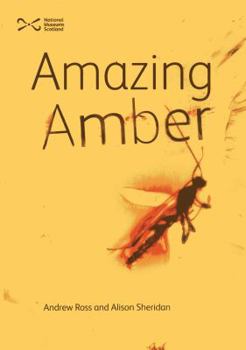 Paperback Amazing Amber Book