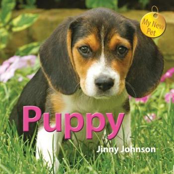 Puppy - Book  of the My New Pet