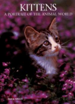 Hardcover Kittens: A Portrait of the Animal World Book