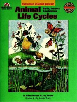 Paperback Animal Life Cycles: Birds, Amphibians, Insects Book