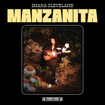 Vinyl Manzanita   Maroon Book