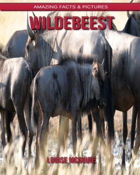 Wildebeest: Amazing Facts & Pictures
