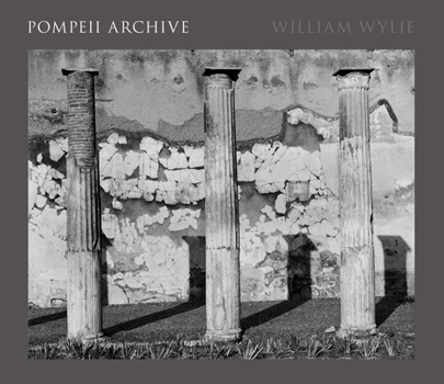Hardcover Pompeii Archive Book