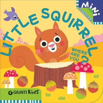 Board book Little Squirrel Where Are You?: A Peekaboo Adventure Through the Forest Book