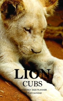 Paperback Lion Cubs 5 x 8 Weekly 2020 Planner: One Year Calendar Book