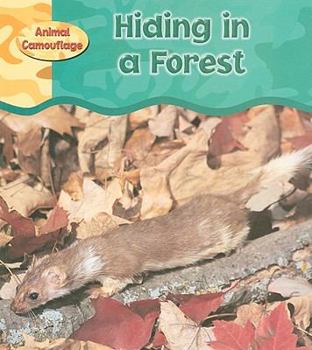 Paperback Hiding in a Forest (Animal Camouflage) Book