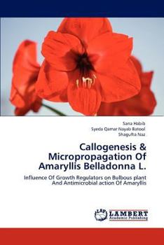 Paperback Callogenesis & Micropropagation Of Amaryllis Belladonna L. Book