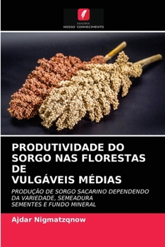 Paperback Produtividade Do Sorgo NAS Florestas Devulgáveis Médias [Portuguese] Book