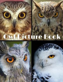 Paperback Owl Picture Book 8.5 X 11 Book