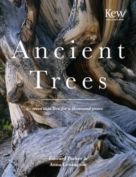 Hardcover Ancient Trees: Trees That Live for a Thousand Years Book