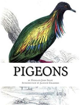 Paperback Pigeons: Pigeon Classics Book 9 Book