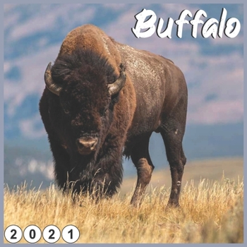 Paperback Buffalo: 2021 Wall & Office Calendar Book