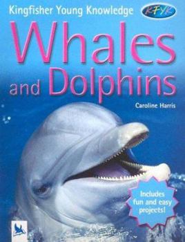 Hardcover Whales and Dolphins Book