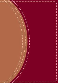 Holy Bible: NIV Starting Point Study Bible