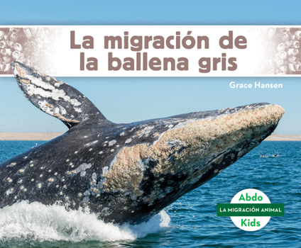 Library Binding La Migración de la Ballena Gris (Gray Whale Migration) [Spanish] Book